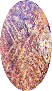 figura en la piedra de Guayamba